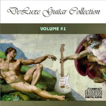  DeLuxe Guitar Collection (2010)