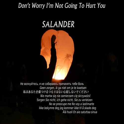  Salander - Don't Worry I'm Not Going To Hurt You (2014) Lossless + mp3