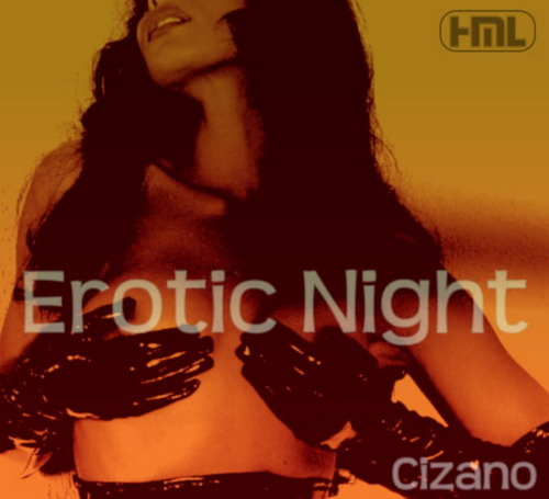  VA - Erotic Night (2010)