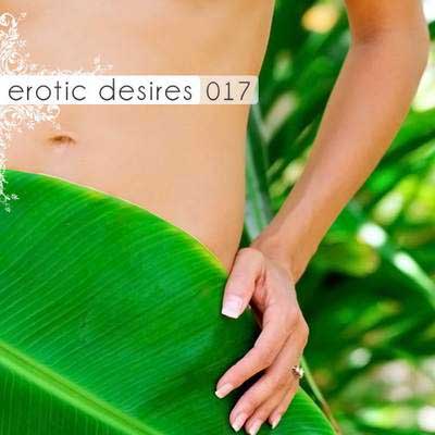  Erotic Desires Volume 017 (2011)