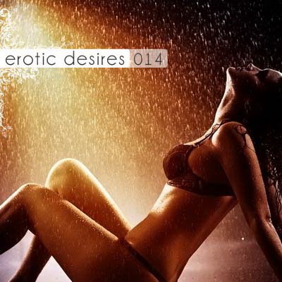  Erotic Desires Volume 014 (2011)