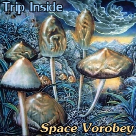  Space Vorobey - Trip Inside (EP) (2009)