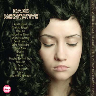  Dark Meditative (2012)
