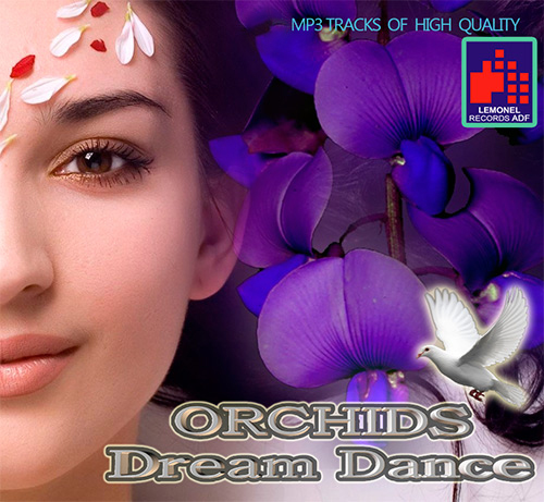 Orchids Dream Dance (2013)