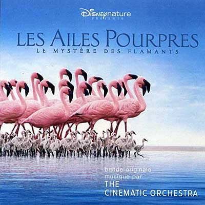  The Cinematic Orchestra - Les Ailes Pourpres (2009)